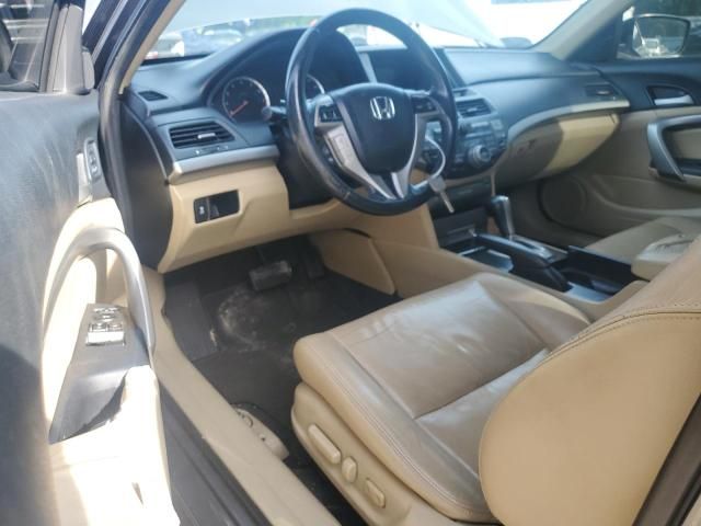 2011 Honda Accord EXL