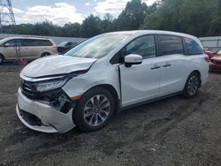 Salvage cars for sale at Windsor, NJ auction: 2023 Honda Odyssey EXL