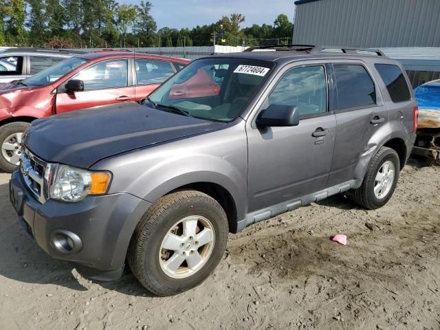 2011 Ford Escape XLT