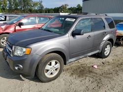 Ford salvage cars for sale: 2011 Ford Escape XLT