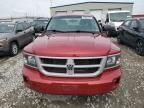 2010 Dodge Dakota SXT