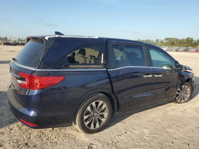 2024 Honda Odyssey EXL