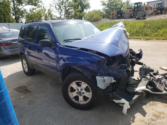 2006 Ford Escape XLT