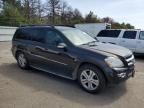 2007 Mercedes-Benz GL 450 4matic