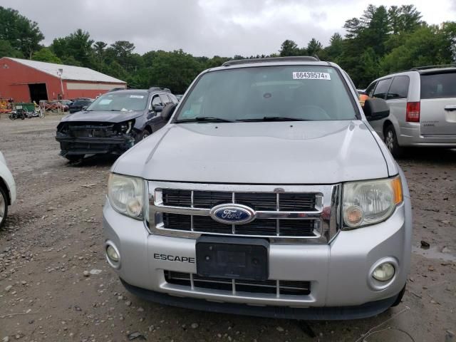 2012 Ford Escape XLT