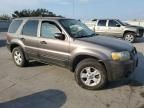 2005 Ford Escape XLT