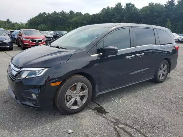 2019 Honda Odyssey EXL