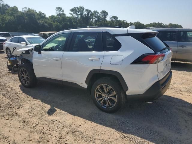 2023 Toyota Rav4 XLE Premium