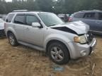 2009 Ford Escape Limited