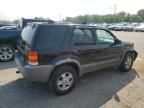 2001 Ford Escape XLT