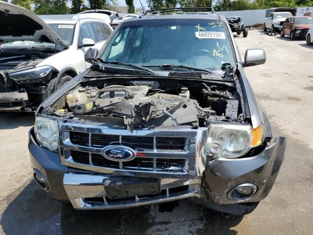 2012 Ford Escape Limited