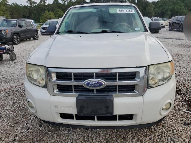 2010 Ford Escape XLT