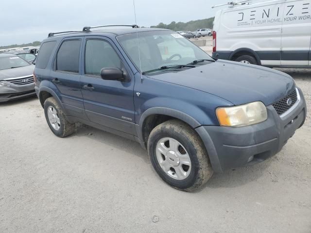 2001 Ford Escape XLT