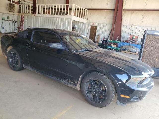 2011 Ford Mustang