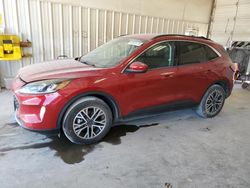 Salvage cars for sale at Abilene, TX auction: 2020 Ford Escape SEL