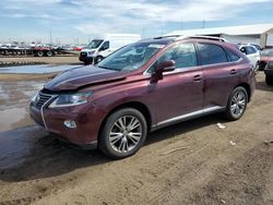 Salvage cars for sale at Brighton, CO auction: 2013 Lexus RX 350