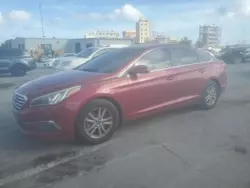 Carros con verificación Run & Drive a la venta en subasta: 2015 Hyundai Sonata SE