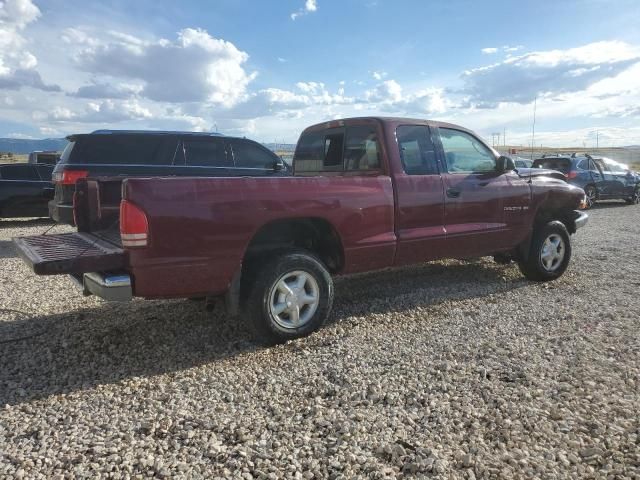 2000 Dodge Dakota