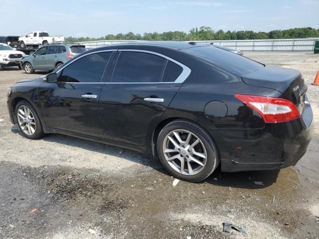 2010 Nissan Maxima S