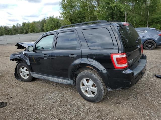 2011 Ford Escape XLT