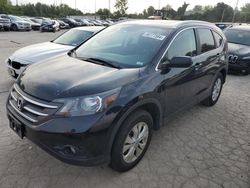 Salvage cars for sale at Bridgeton, MO auction: 2012 Honda CR-V EXL