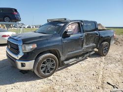 Salvage cars for sale at Taylor, TX auction: 2019 Toyota Tundra Crewmax SR5