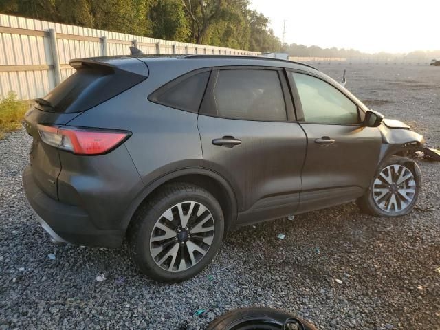 2020 Ford Escape SE Sport