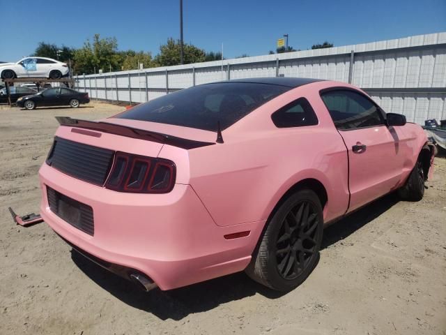 2013 Ford Mustang