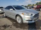 2016 Ford Fusion SE Phev