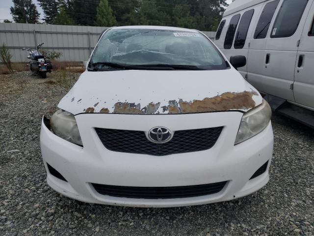 2010 Toyota Corolla Base