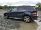 2010 Mercedes-Benz ML 350