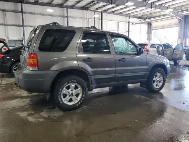 2005 Ford Escape XLT