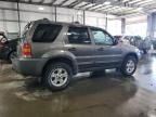 2005 Ford Escape XLT