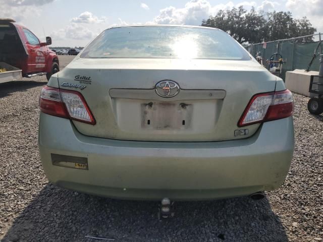 2009 Toyota Camry Hybrid