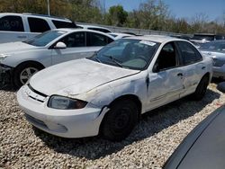 Salvage cars for sale at Wichita, KS auction: 2005 Chevrolet Cavalier