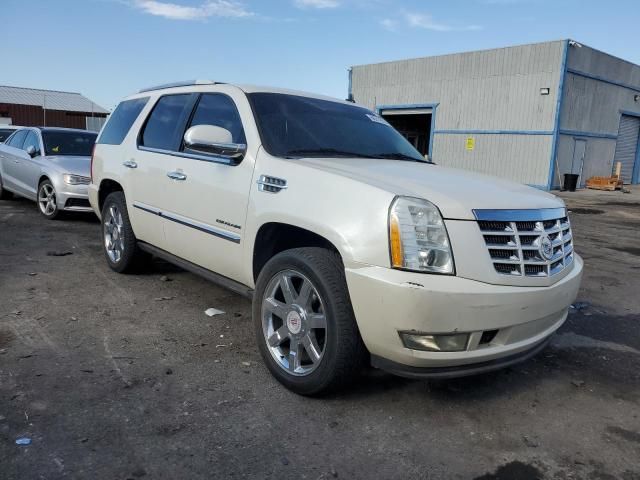 2011 Cadillac Escalade Premium