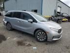 2023 Honda Odyssey EXL