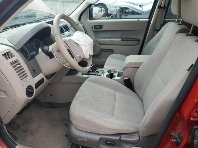 2010 Ford Escape XLT