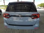 2023 Honda Odyssey SPORT-L