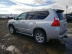 2010 Lexus GX 460 Premium