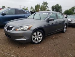 Salvage cars for sale at Elgin, IL auction: 2009 Honda Accord EXL