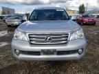 2010 Lexus GX 460 Premium