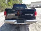 2004 Dodge Dakota Quad SLT