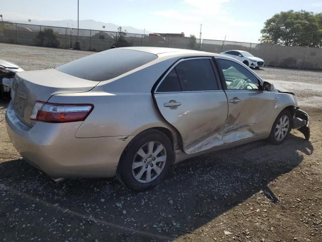 2009 Toyota Camry Hybrid