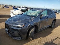 2024 Lexus NX 350H Base en venta en Brighton, CO