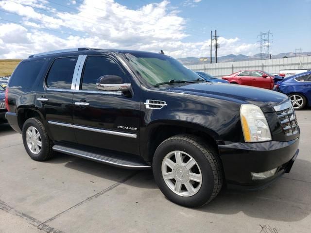 2010 Cadillac Escalade