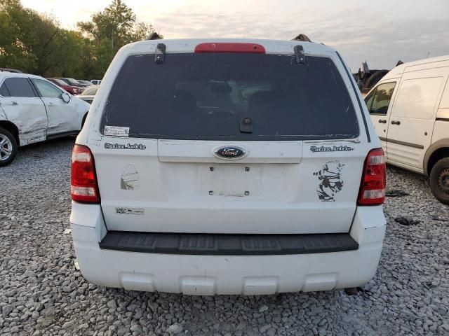 2009 Ford Escape XLT