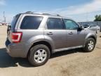 2010 Ford Escape Limited