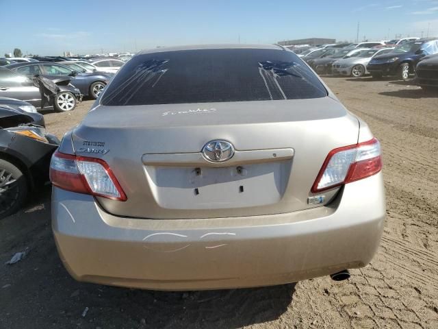 2007 Toyota Camry Hybrid