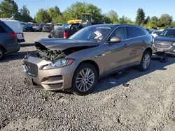 Jaguar salvage cars for sale: 2017 Jaguar F-PACE Prestige